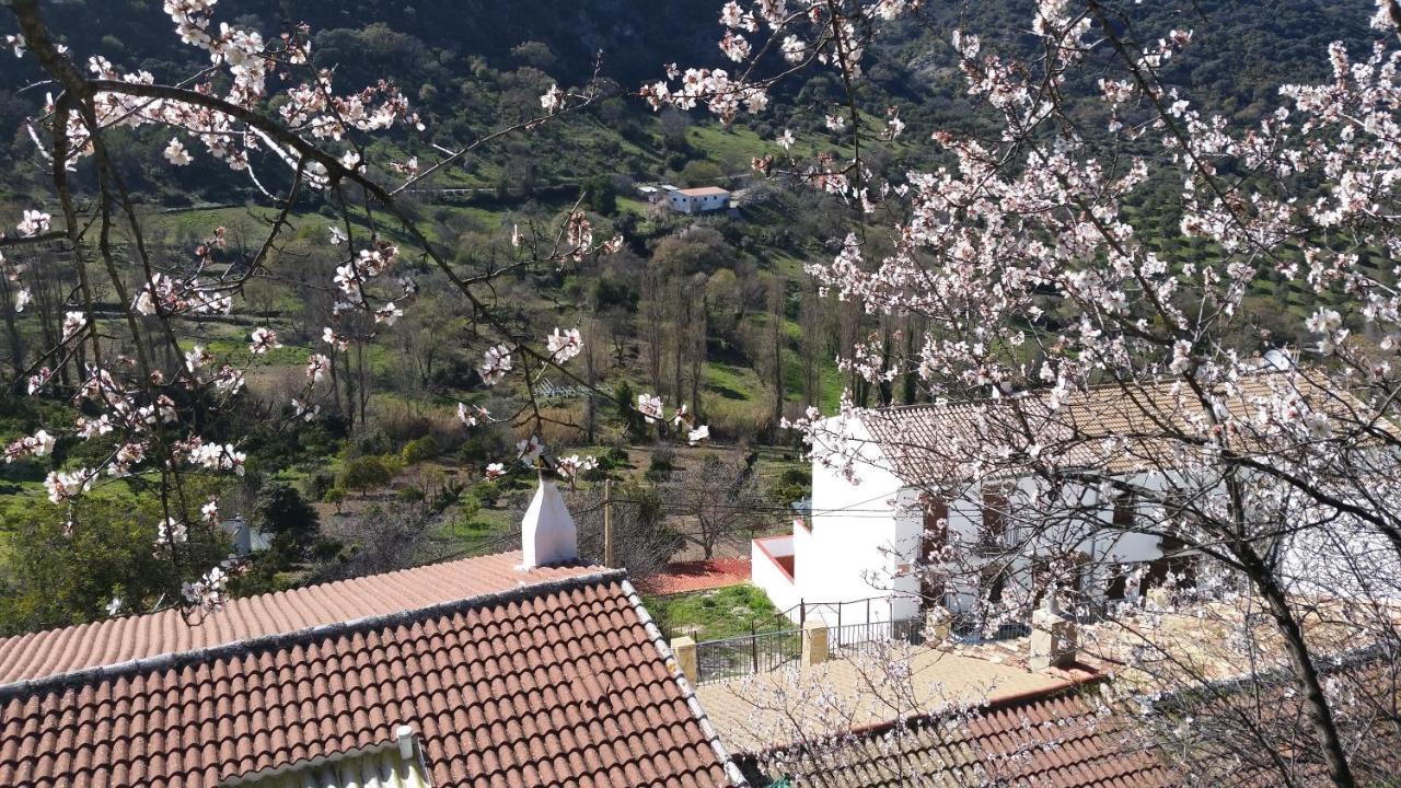 Apartamento Benamahoma Rural Exterior foto